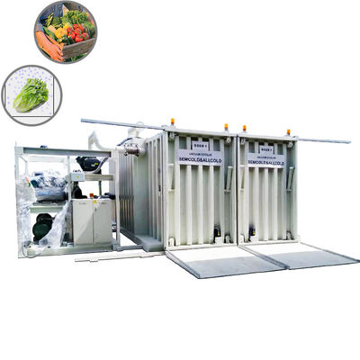 Fresh Industry Vacuum Cooling Machine Pre Cooling For Button Mushroom Broccoli Vegetables